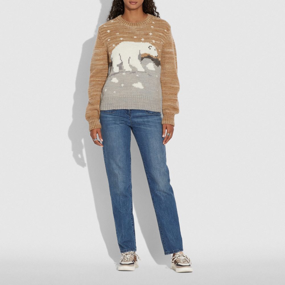 Polar Bear Sweater