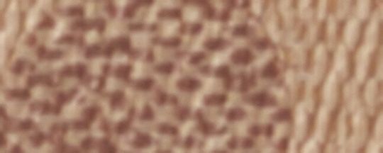 Strap In Signature Canvas With Horse And Carriage Print