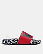 COACH®,DISNEY MICKEY MOUSE X KEITH HARING SLIDE,Rubber,RED/BLACK,Angle View