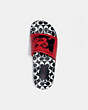 COACH®,DISNEY MICKEY MOUSE X KEITH HARING SLIDE,Rubber,RED/BLACK,Inside View,Top View