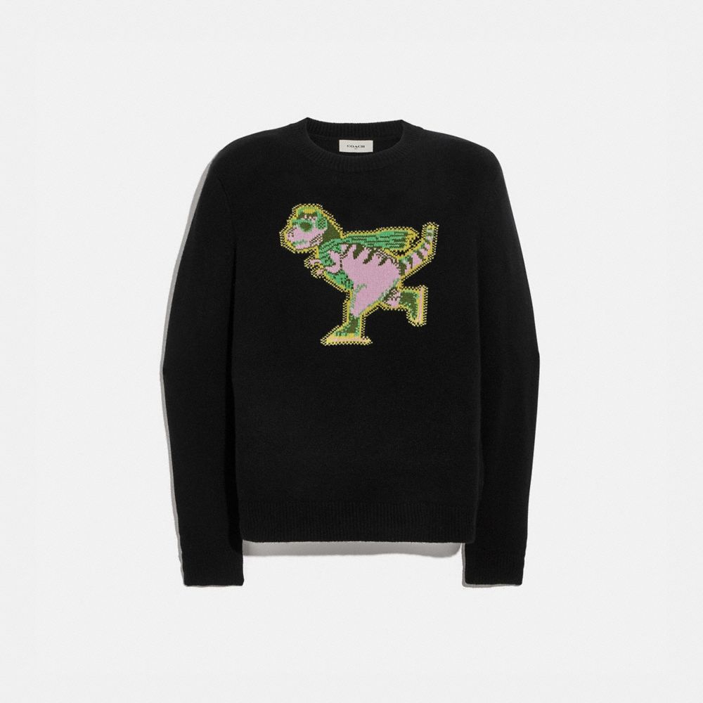 Pull Rexy Intarsia