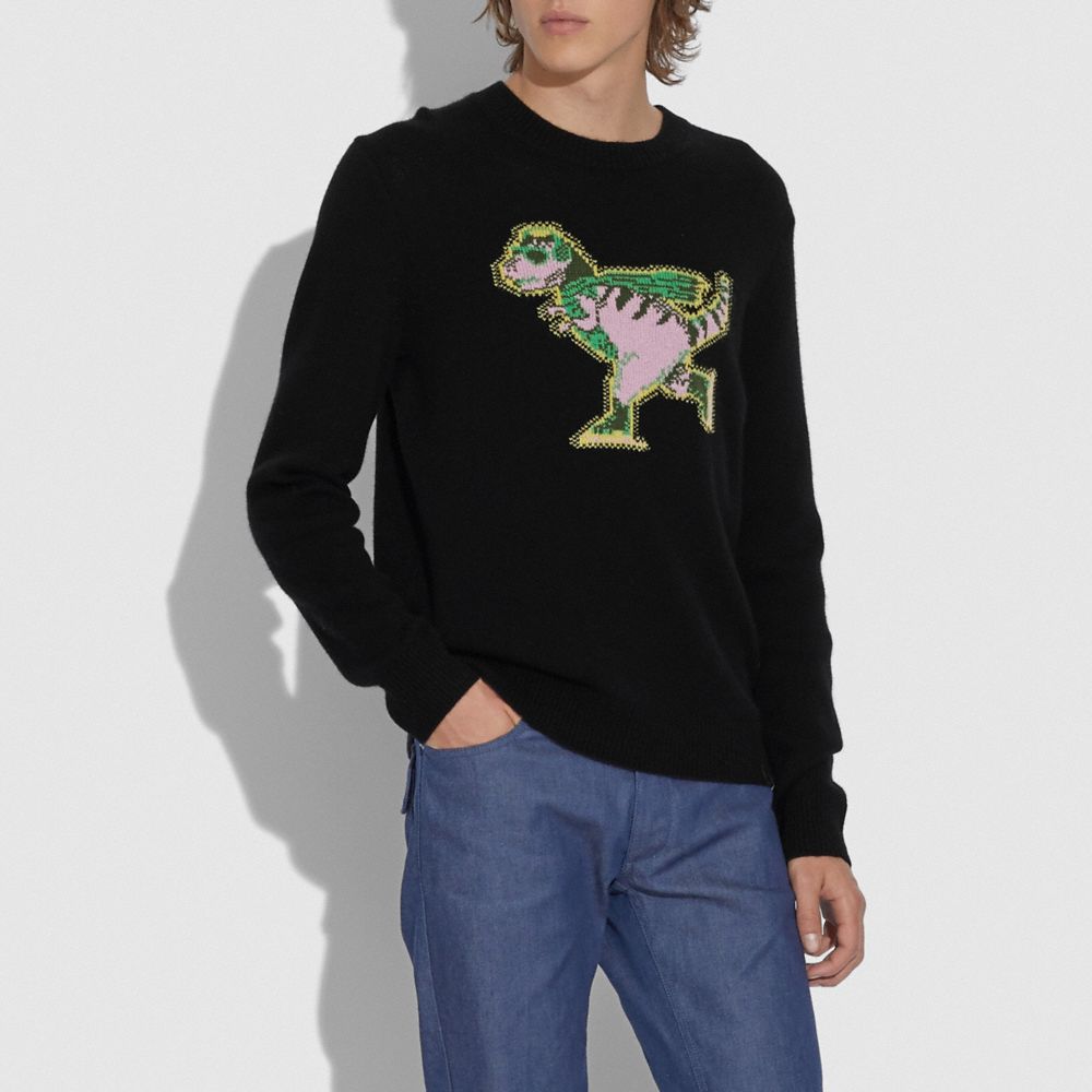 Pull Rexy Intarsia