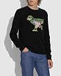 COACH®,REXY INTARSIA SWEATER,Wool/Cashmere,Black,Scale View