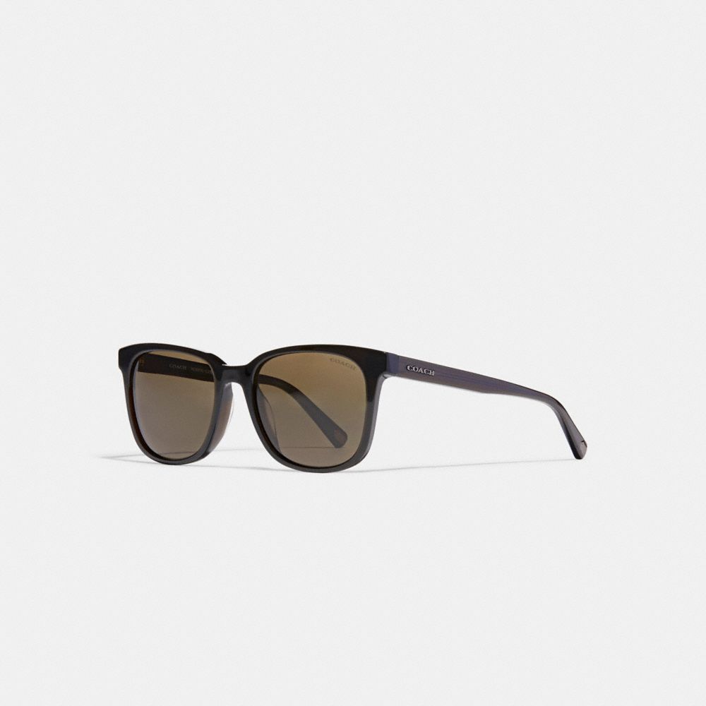 Coach sunglasses shop uv protection