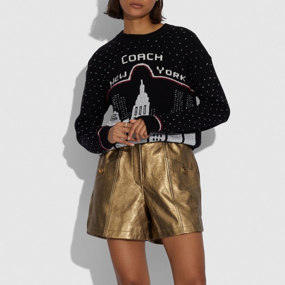 Coach intarsia clearance sweater