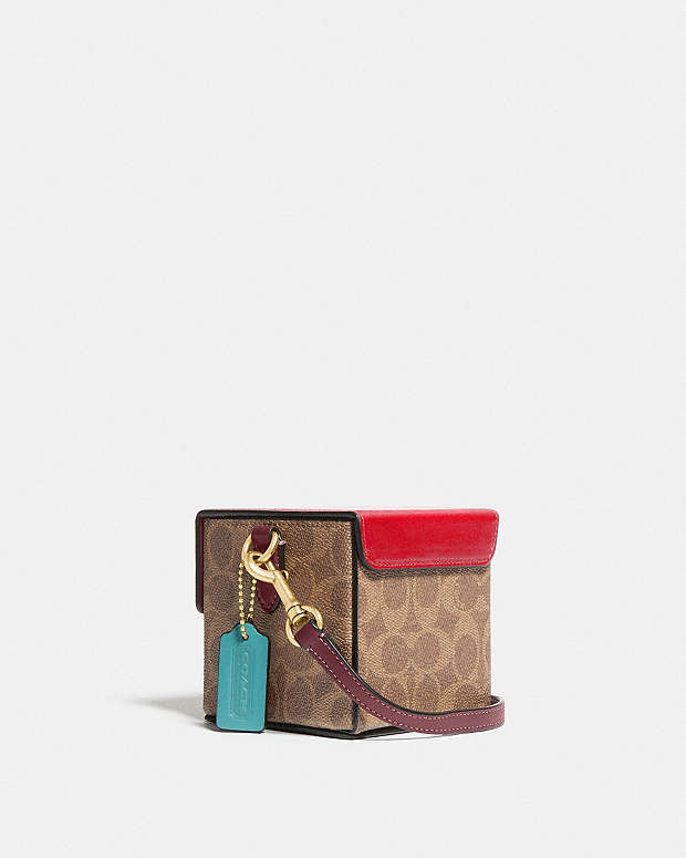 Lunar New Year Square Bag 10 In Signature Canvas | COACH®
