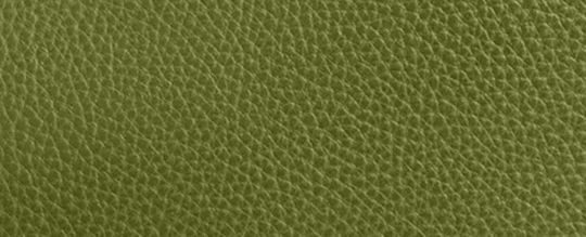 Lh/Dark Lime