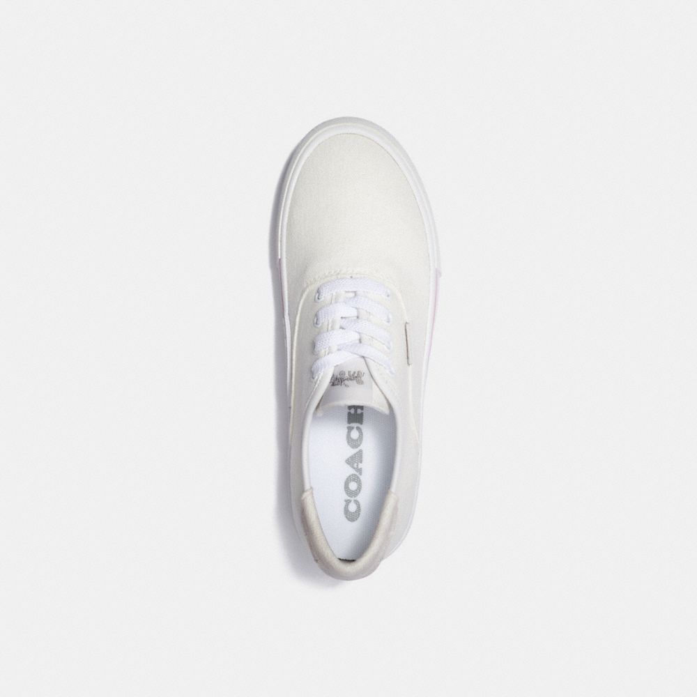 Chaussure de sport pour la planche à roulettes CitySole