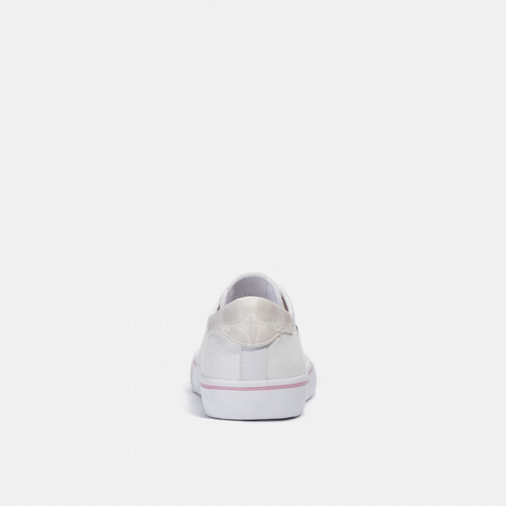 Chaussure de sport pour la planche à roulettes CitySole