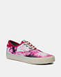 COACH®,CITYSOLE SKATE SNEAKER,canvas,Bold Pink,Front View