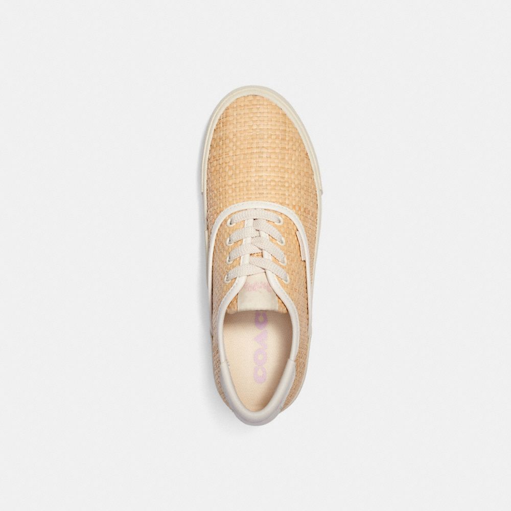 Citysole Skate Sneaker