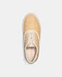 COACH®,CITYSOLE SKATE SNEAKER,Straw,Natural,Inside View,Top View