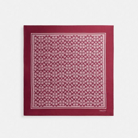 Женские аксессуары Coach Textured Signature Print Silk Square Scarf