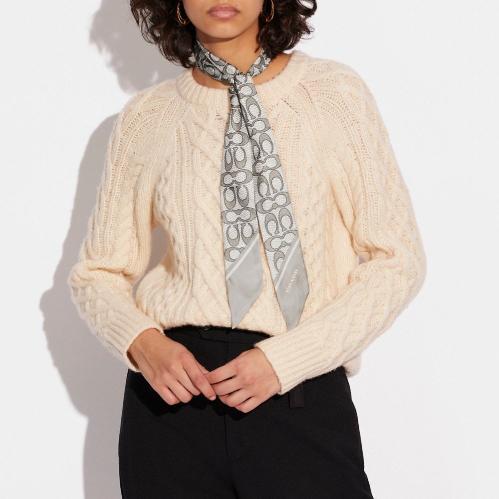 COACH®,Textured Signature Print Silk Skinny Scarf,Silk,Neckerchief,Color Block,Casual,,Detail View