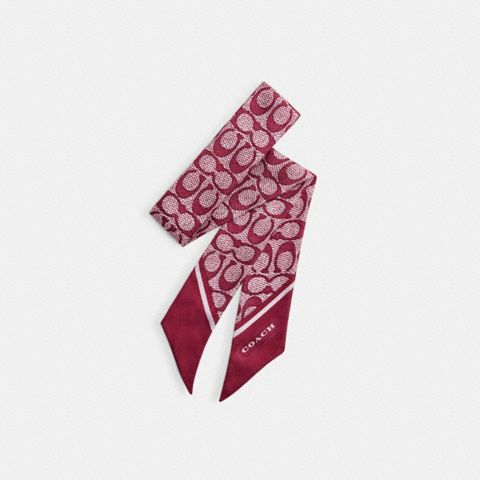 Женские аксессуары Coach Textured Signature Print Silk Skinny Scarf