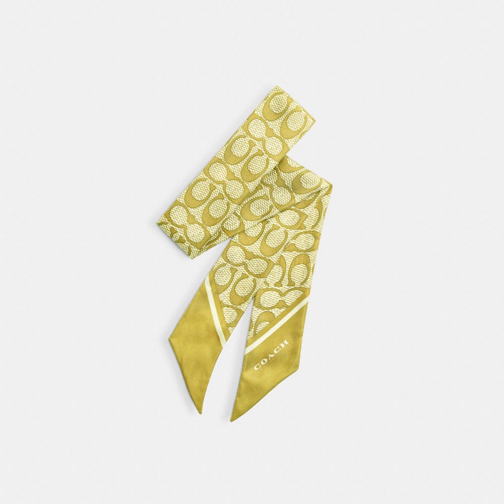COACH®,Textured Signature Print Silk Skinny Scarf,Silk,Neckerchief,Color Block,Casual,,Front View