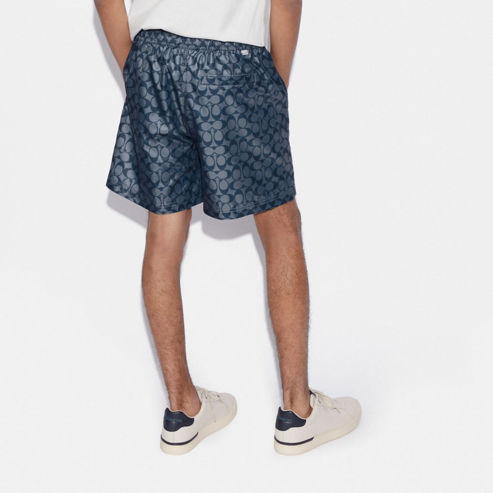 Louis Vuitton Monogram Signature Swim Blue Board Shorts - L / Blue