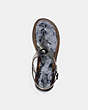 COACH®,NATALEE JELLY SANDAL,Rubber,Black,Inside View,Top View
