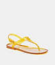 COACH®,NATALEE JELLY SANDAL,Rubber,Buttercup,Front View