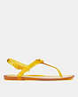 COACH®,NATALEE JELLY SANDAL,Rubber,Buttercup,Angle View