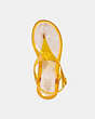 COACH®,NATALEE JELLY SANDAL,Rubber,Buttercup,Inside View,Top View