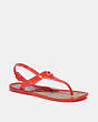COACH®,NATALEE JELLY SANDAL,Rubber,Red Orange,Front View