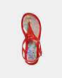 COACH®,NATALEE JELLY SANDAL,Rubber,Red Orange,Inside View,Top View