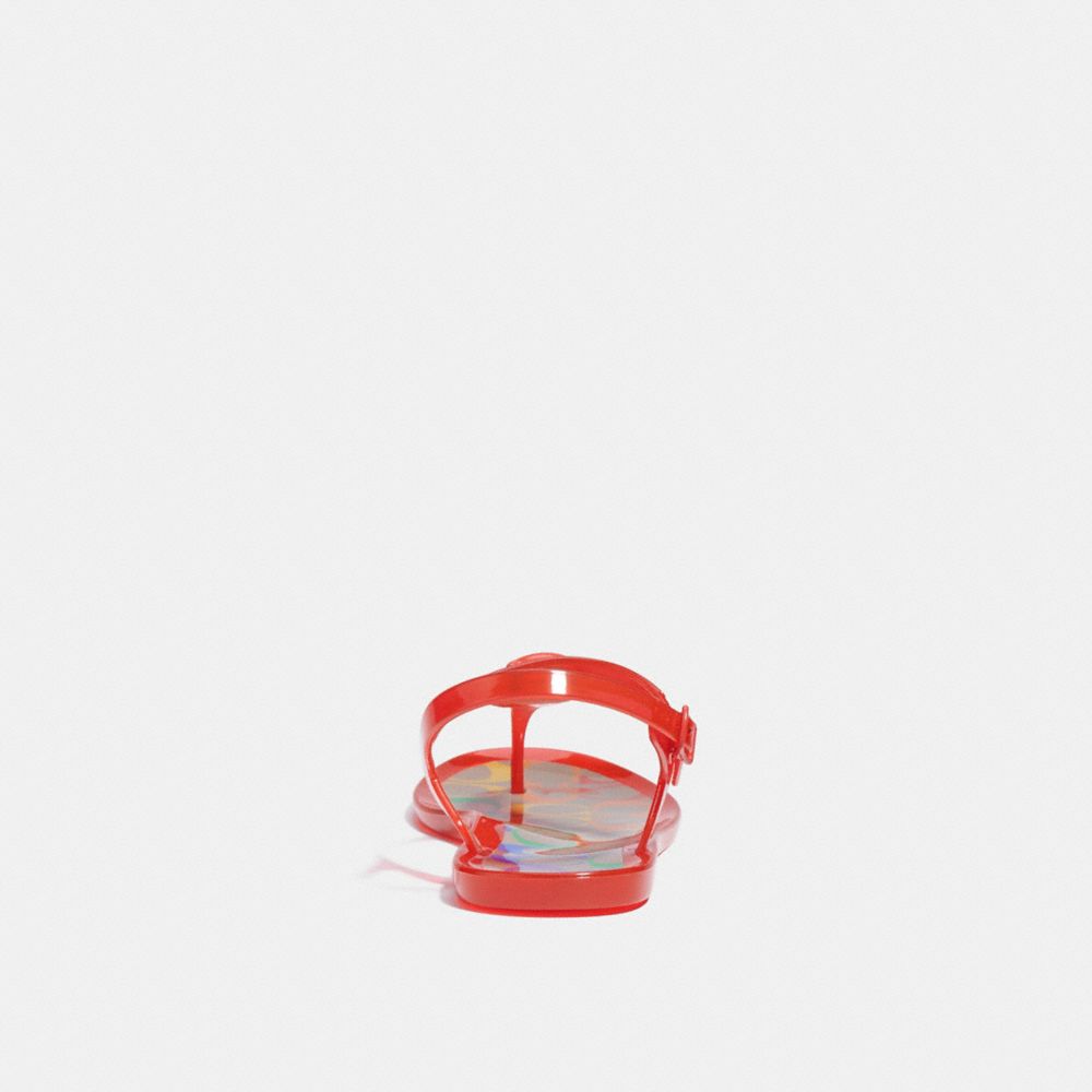 Natalee Jelly Sandal