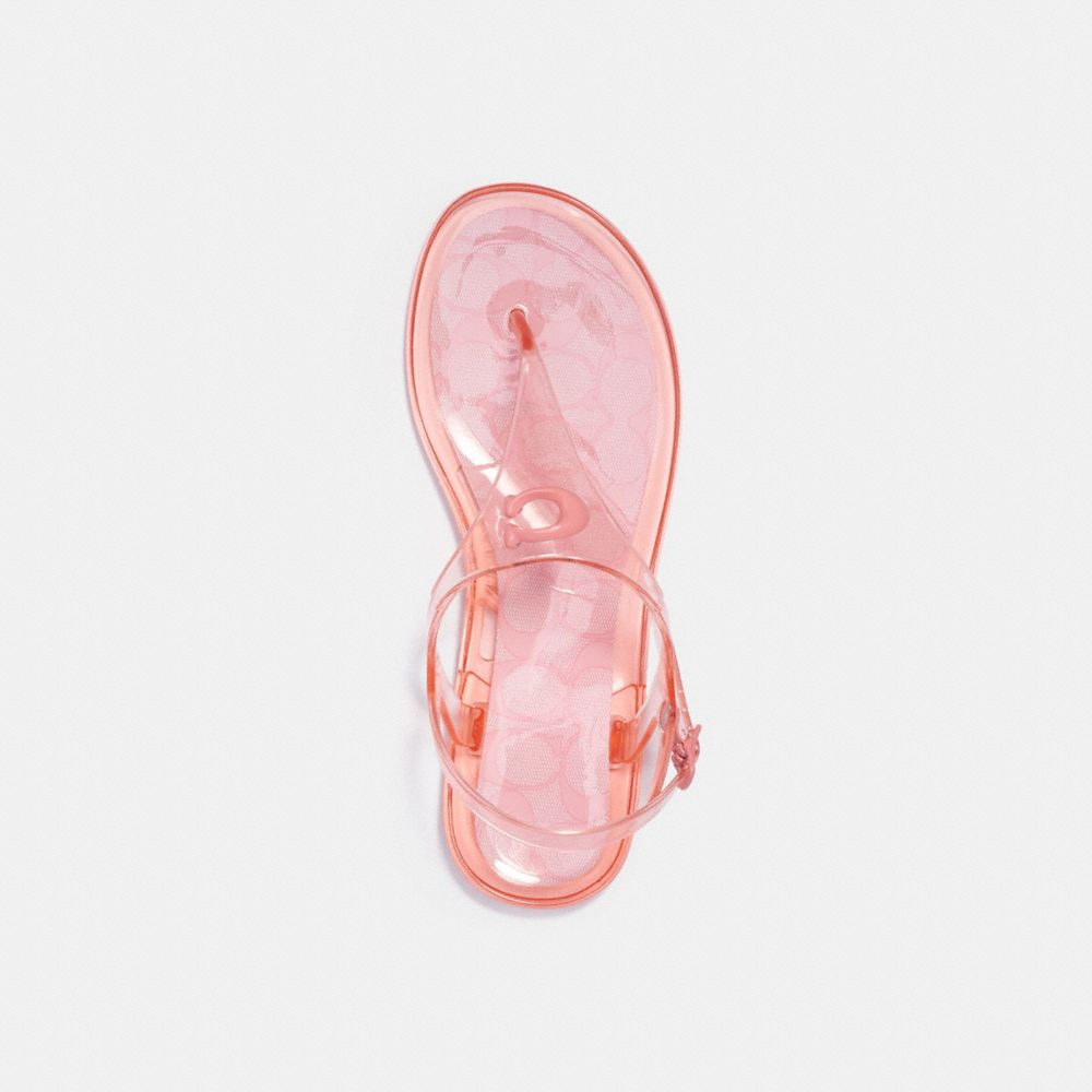 COACH®,Natalee Jelly Sandal,,Inside View,Top View