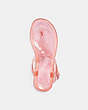 COACH®,NATALEE JELLY SANDAL,Rubber,Taffy,Inside View,Top View