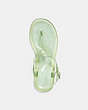 COACH®,NATALEE JELLY SANDAL,Rubber,Pale Pistachio,Inside View,Top View