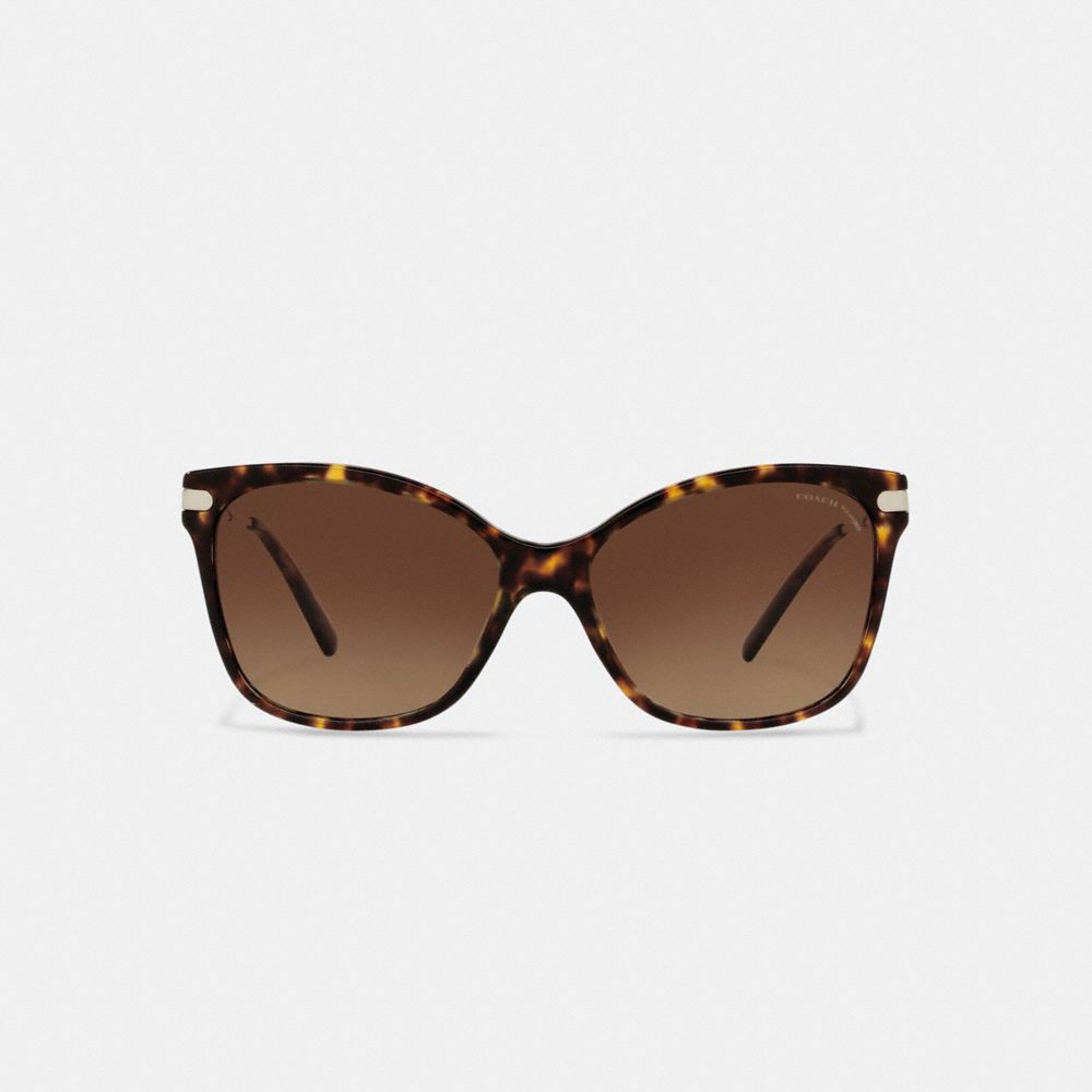 Sculpted Signature Wayfarer Sunglasses