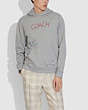 Coach Hand Drawing Hoodie In Organic Cotton