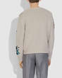 COACH®,ANIMAL GROUP INTARSIA SWEATER,Mixed Material,Ivory,Scale View