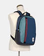 Edge Backpack With Stripe
