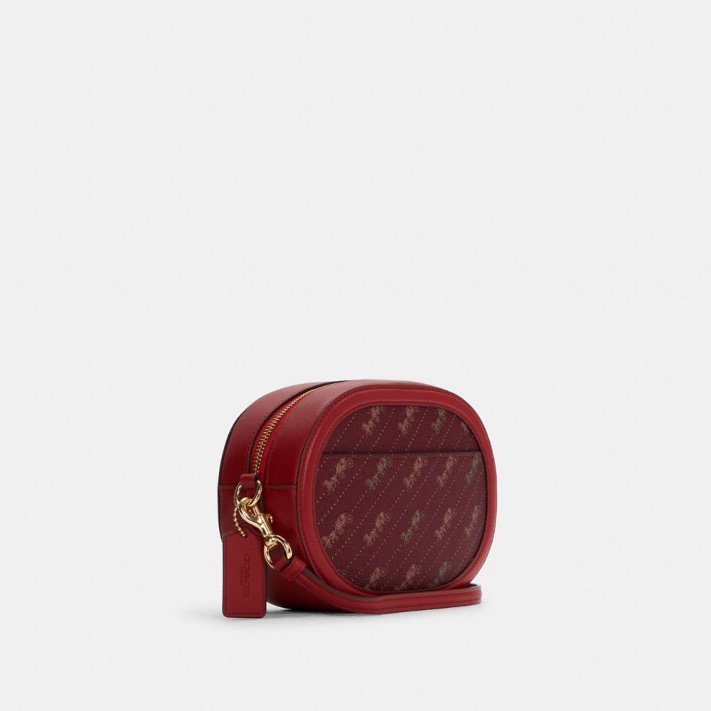 Coach Mini Camera Bag in Signature Horse and Carriage Heart Print