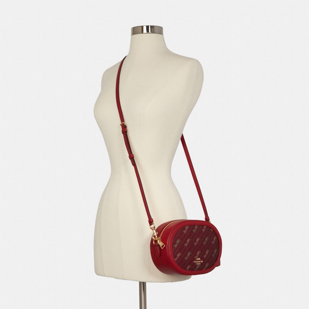 Camera Bag With Horse And Carriage Dot Print
