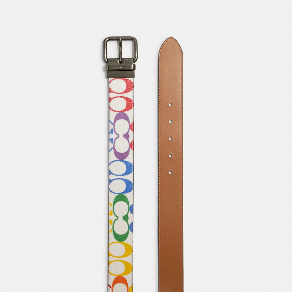 Roller Buckle Cut To Size Reversible Belt In Rainbow Signature Canvas 38 Mm