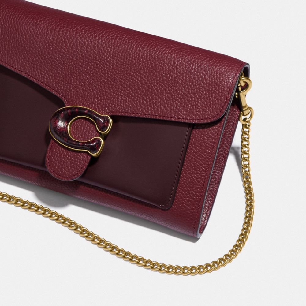 Tabby Chain Clutch In Colorblock With Snakeskin Detail