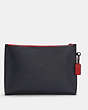 Carryall Pouch In Colorblock