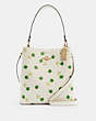 Town Bucket Bag With Apple Print