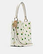Town Bucket Bag With Apple Print