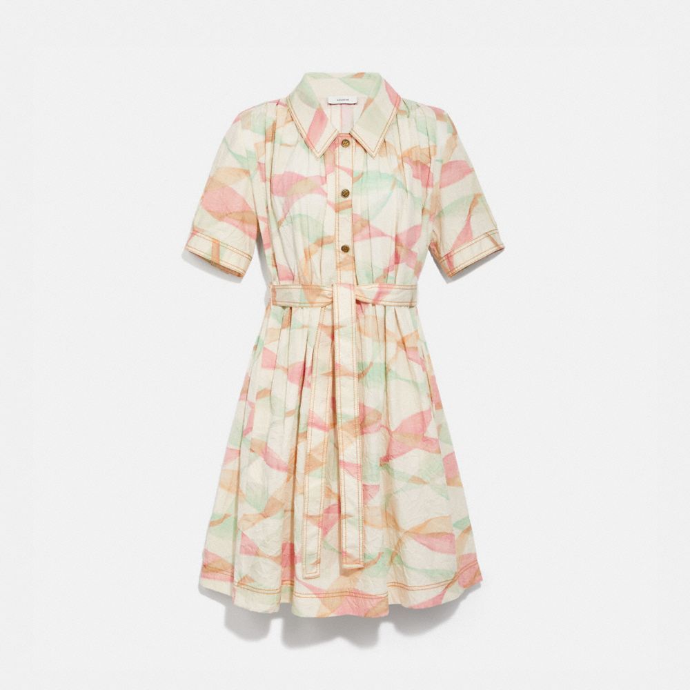Pleated Trench Dress
