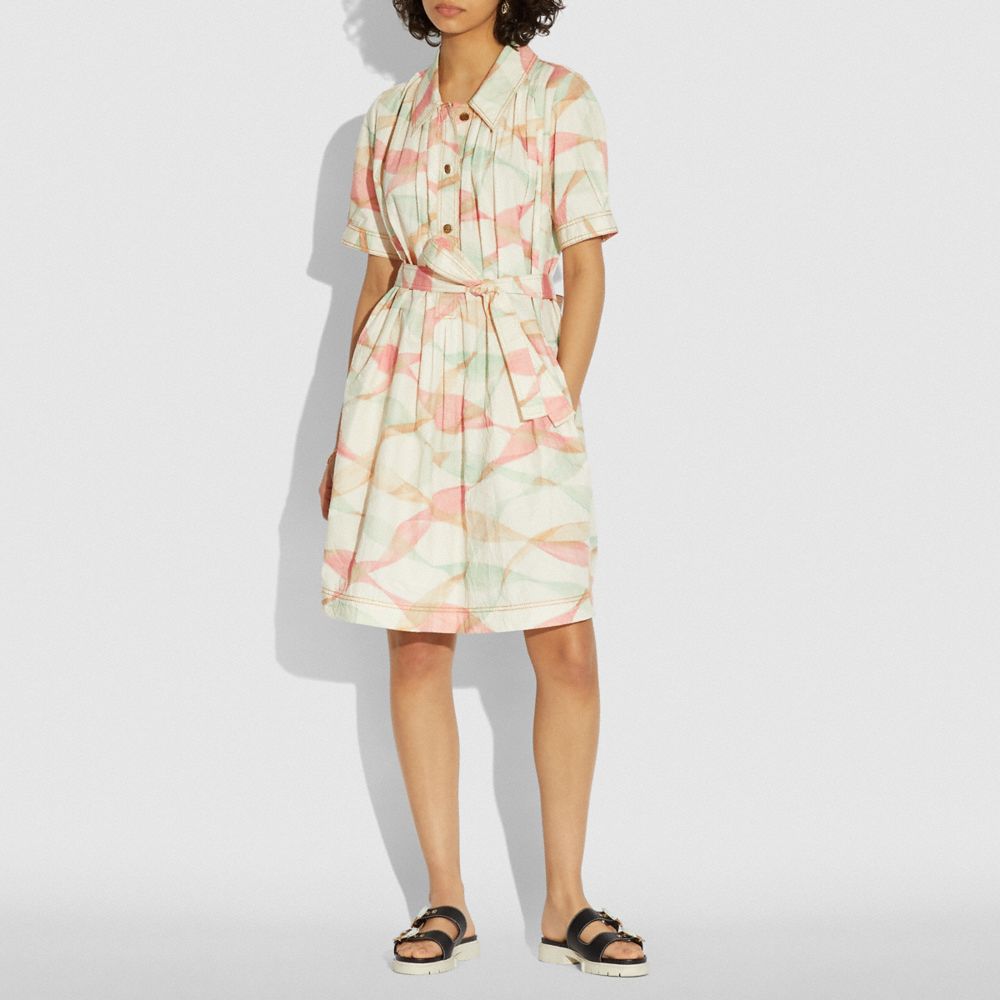 Pleated Trench Dress