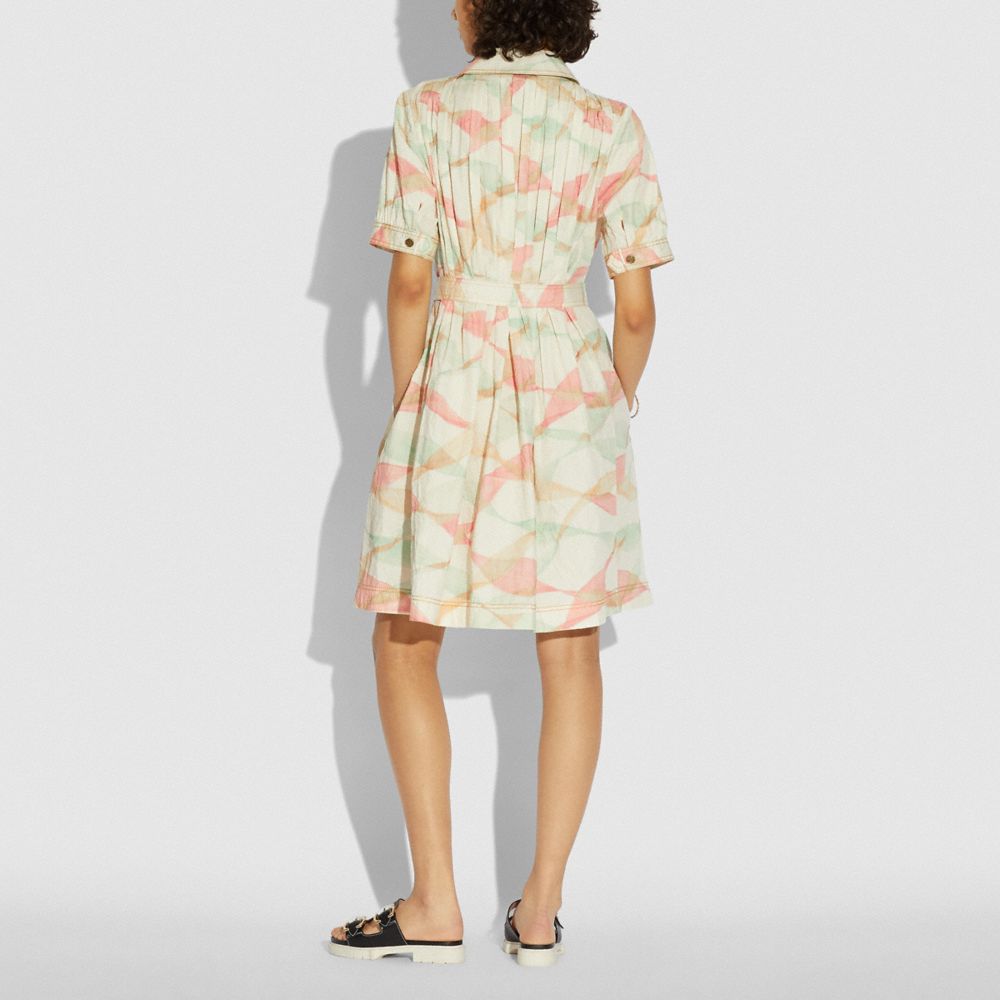 Pleated Trench Dress
