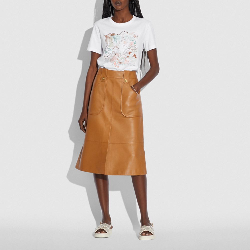 Bianco Ottico,Visualizzazione in scala