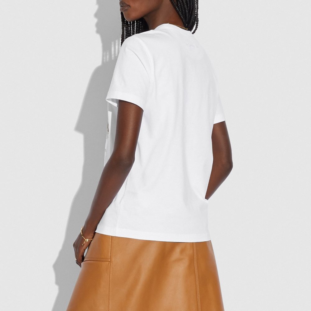 Bianco Ottico,Visualizzazione in scala