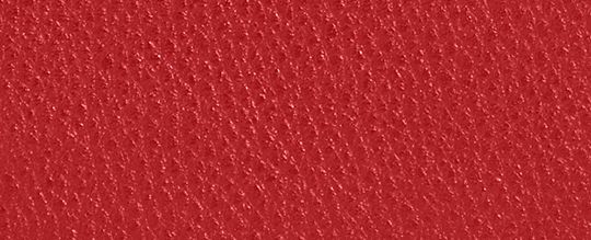 COACH®,PORTEFEUILLE ZIP-CONTOUR LONG,Cuir galet,Mini,Doré/ROUGE,Front View