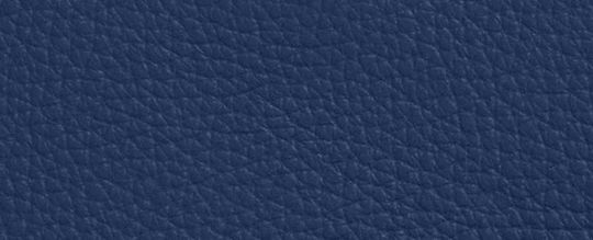 COACH®,PORTEFEUILLE ZIP-CONTOUR LONG,Cuir galet,Mini,Or/Bleu Profond,Front View