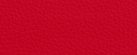 COACH®,Long Zip Around Wallet,Leather,Continental,Wristlet,Gold Metal,Casual,Red,Front View